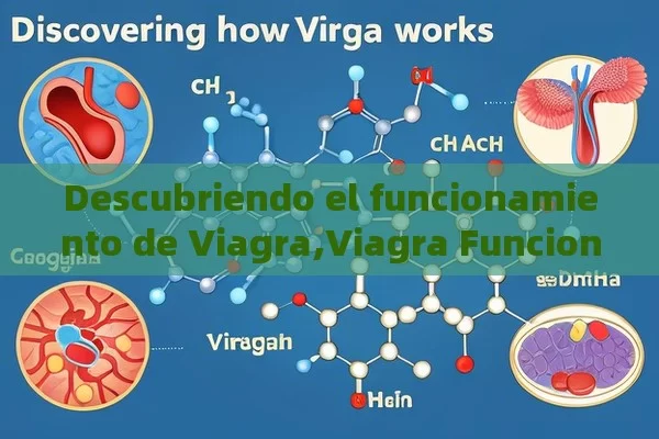 Descubriendo el funcionamiento de Viagra,Viagra Funciona - Cialis:Todo lo que Debes Sabe