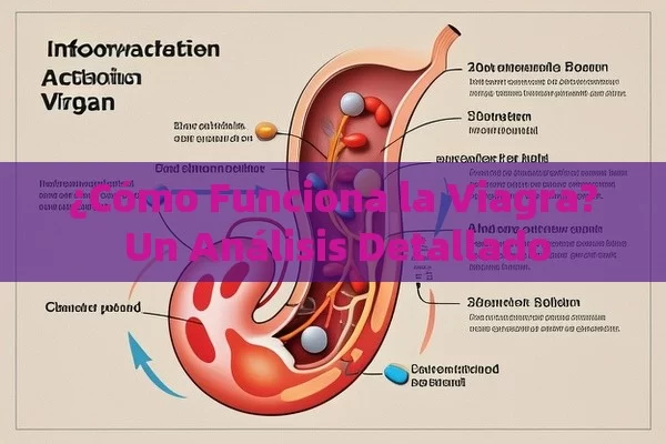 ¿Cómo Funciona la Viagra? Un Análisis Detallado - Cialis:Todo lo que Debes Sabe
