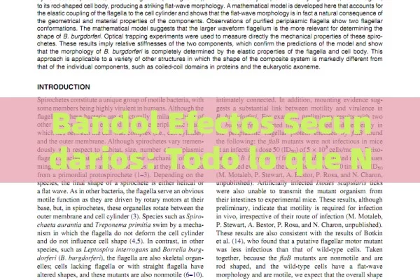Bandol Efectos Secundarios: Todo lo que Necesitas Saber sobre este Medicamento